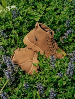 Chaussure de marche Tenere - Marron