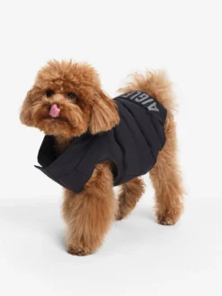 Doudoune Repreve® déperlante pour chien - Noir