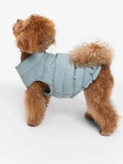 Doudoune Repreve® déperlante pour chien - Bleu