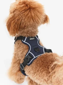 Harnais pour chien - Bleu