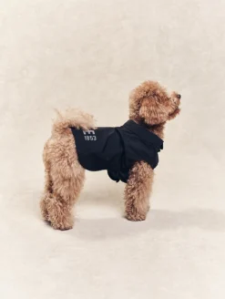 Parka Rainpack™ pour chien - pliable et imperméable - Noir