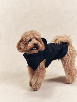 Parka Rainpack™ pour chien - pliable et imperméable - Noir