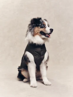 Parka Rainpack™ pour chien - pliable et imperméable - Kaki