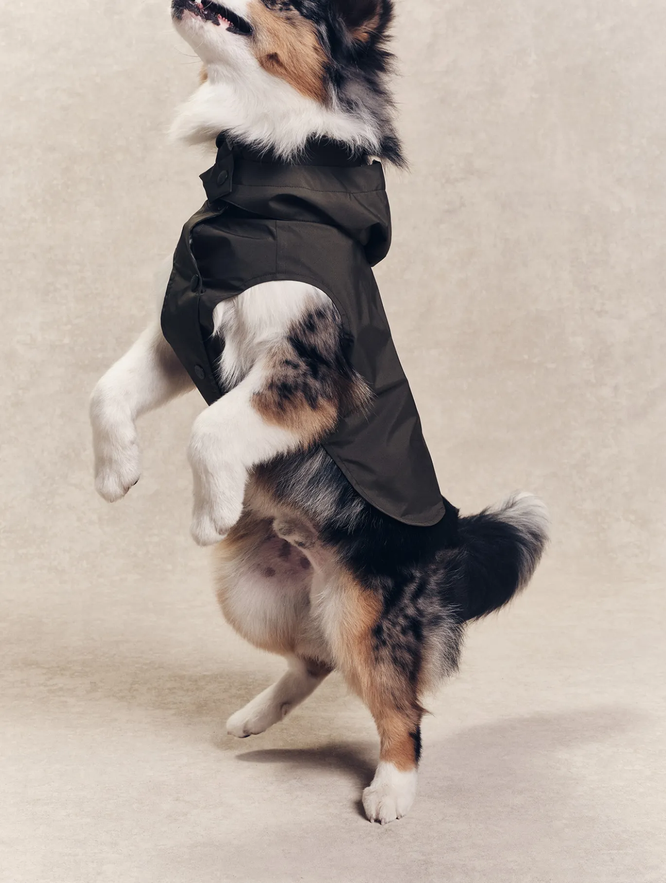 Parka Rainpack™ pour chien - pliable et imperméable - Kaki