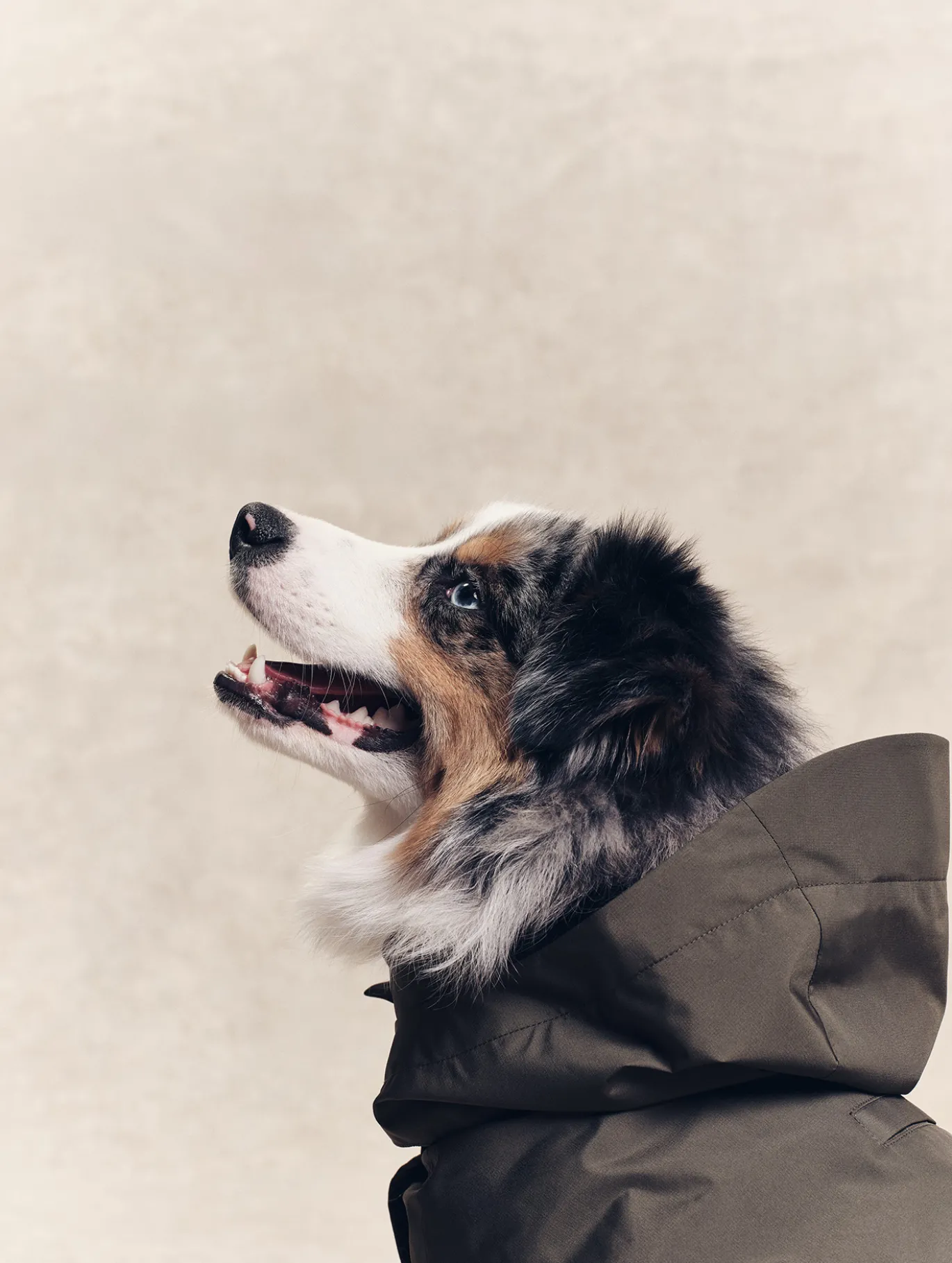 Parka Rainpack™ pour chien - pliable et imperméable - Kaki