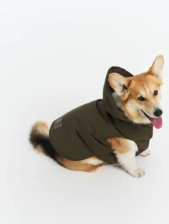 Rainpack™ chaude Repreve® et imperméable pour chien - Kaki