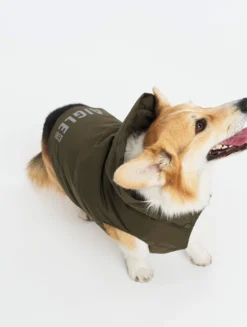 Rainpack™ chaude Repreve® et imperméable pour chien - Kaki