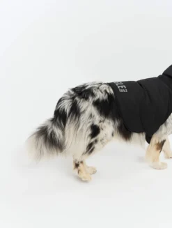 Rainpack™ chaude Repreve® et imperméable pour chien - Noir