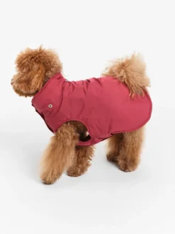 Rainpack™ chaude Repreve® et imperméable pour chien - Rouge