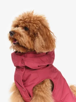 Rainpack™ chaude Repreve® et imperméable pour chien - Rouge