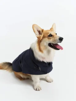Trench déperlant pour chien - Bleu