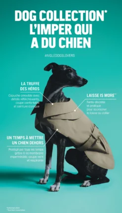 Trench déperlant pour chien - Bleu