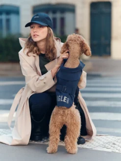 Trench déperlant pour chien - Bleu
