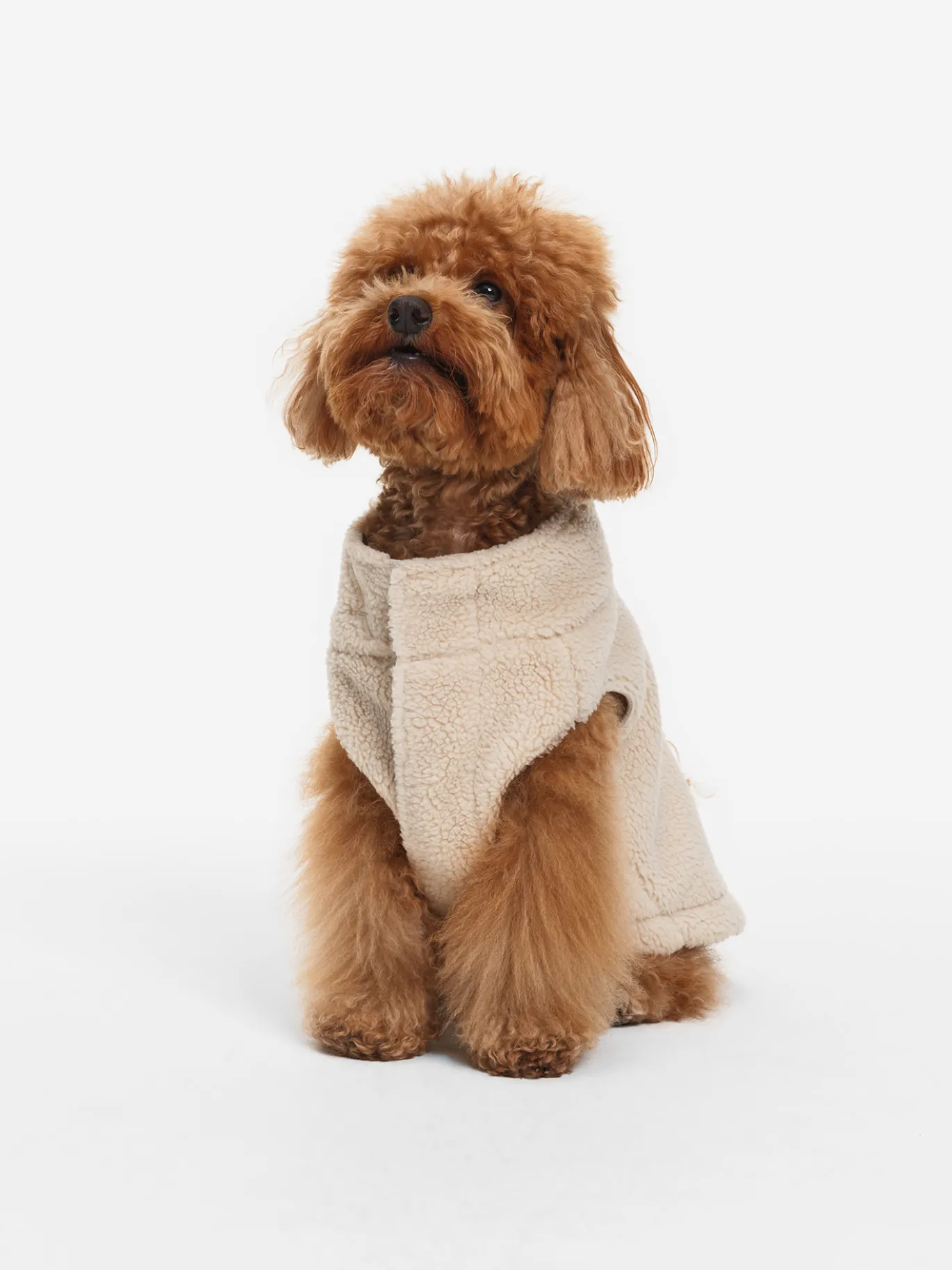 Veste sherpa pour chien - Beige