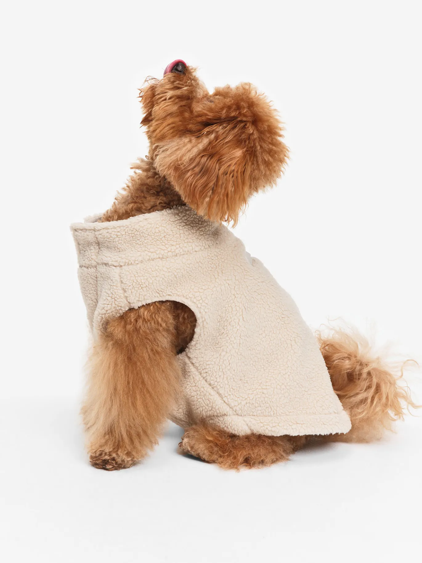 Veste sherpa pour chien - Beige