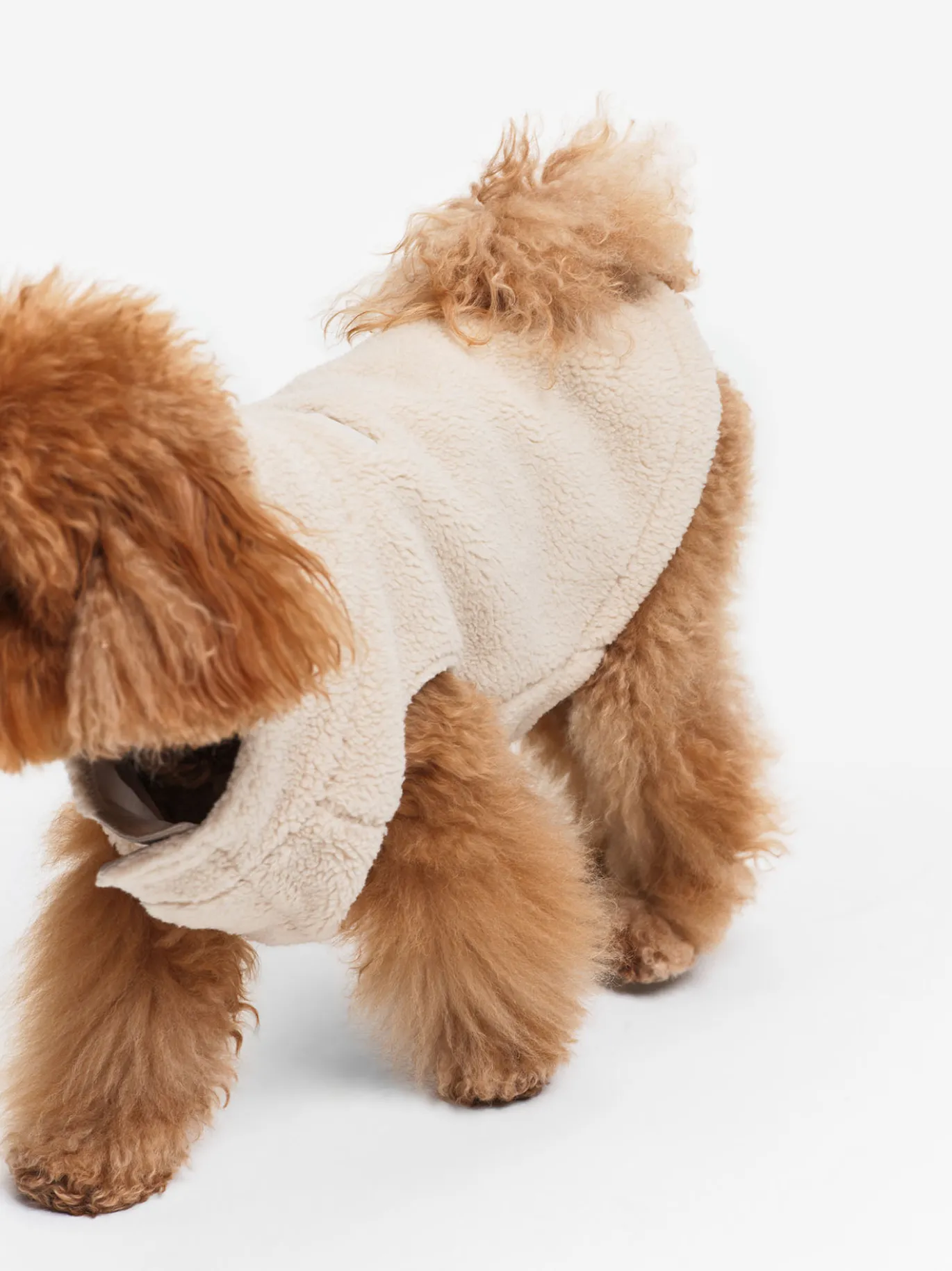 Veste sherpa pour chien - Beige